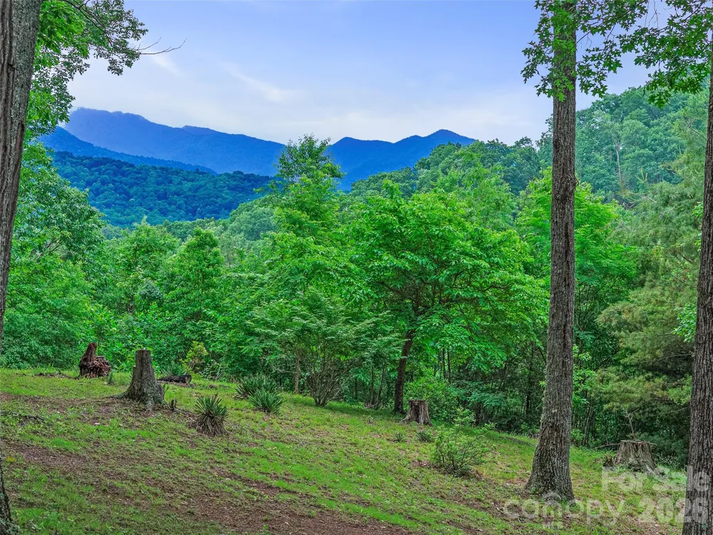 820 Wild Rose Lane Burnsville, NC 28714