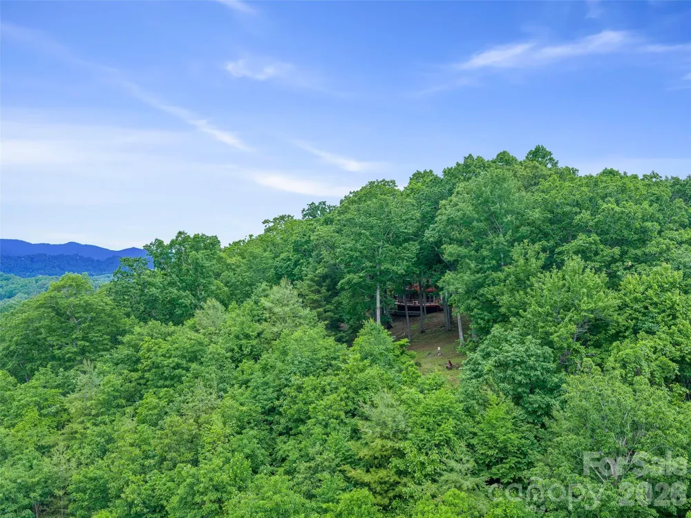 820 Wild Rose Lane Burnsville, NC 28714