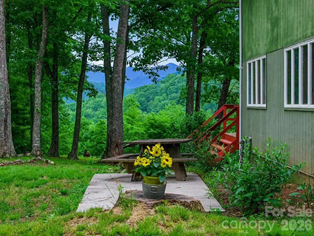 820 Wild Rose Lane Burnsville, NC 28714