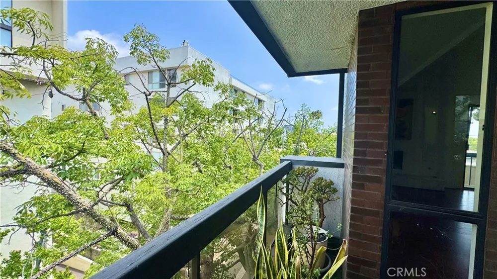324 Palm Drive #407 Beverly Hills, CA 90210