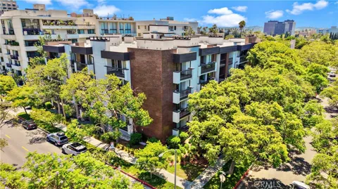 324 Palm Drive #407
