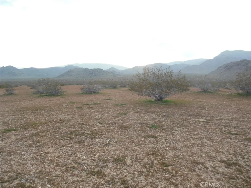2300 Lorraine Ave (Lot 23) Lucerne Valley, CA 92356