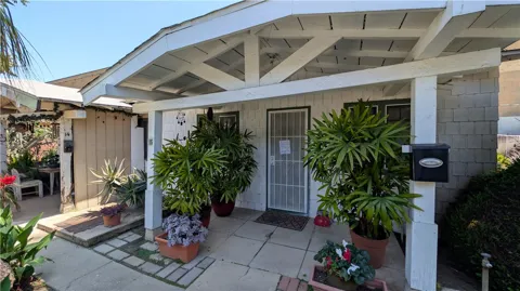 100 Palmetto #14