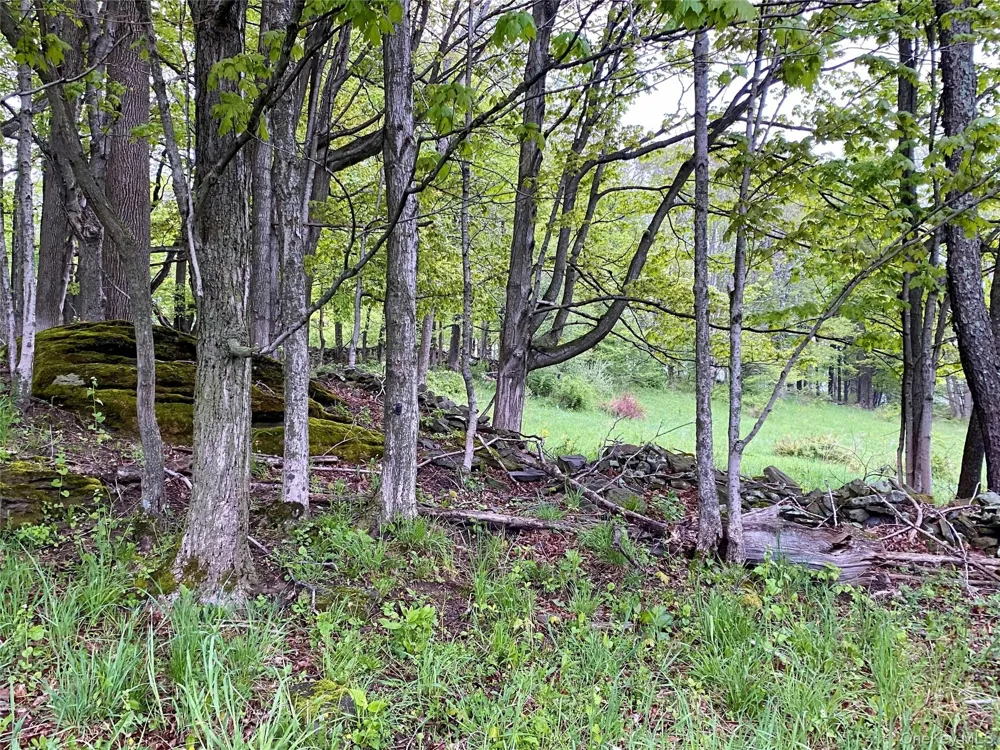 301 & 305 Hust Road Hust Callicoon, NY 12748