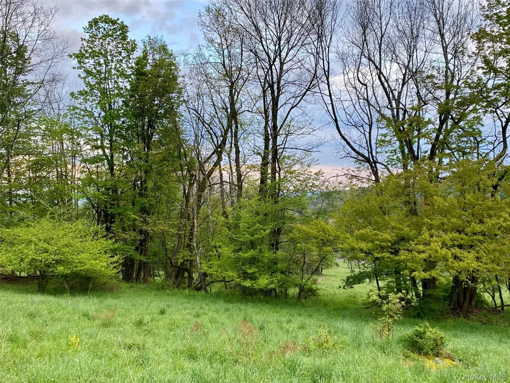 301 & 305 Hust Road Hust Callicoon, NY 12748