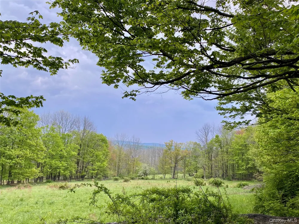 301 & 305 Hust Road Hust Callicoon, NY 12748