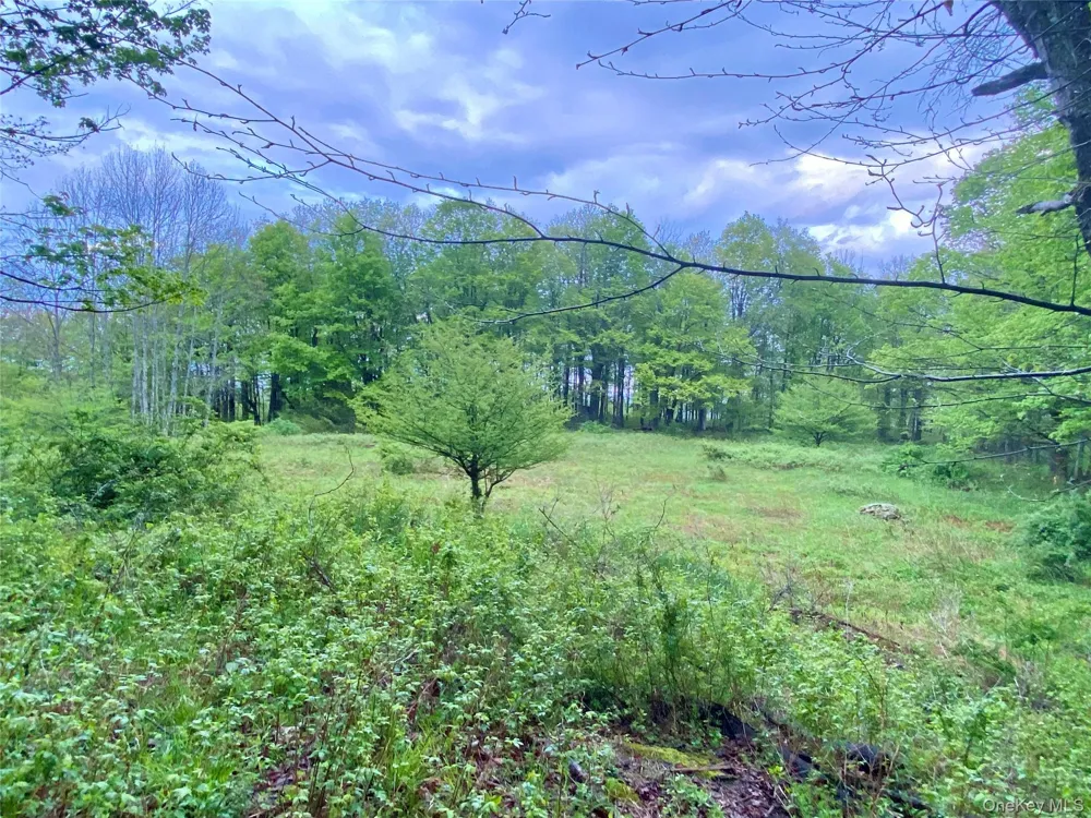 301 & 305 Hust Road Hust Callicoon, NY 12748