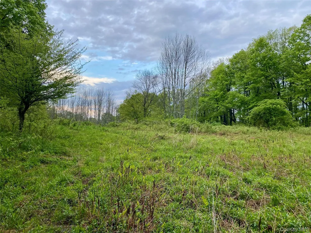 301 & 305 Hust Road Hust Callicoon, NY 12748