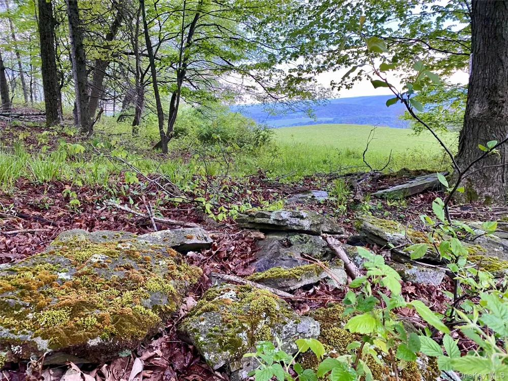 301 & 305 Hust Road Hust Callicoon, NY 12748