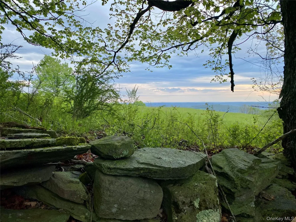 301 & 305 Hust Road Hust Callicoon, NY 12748