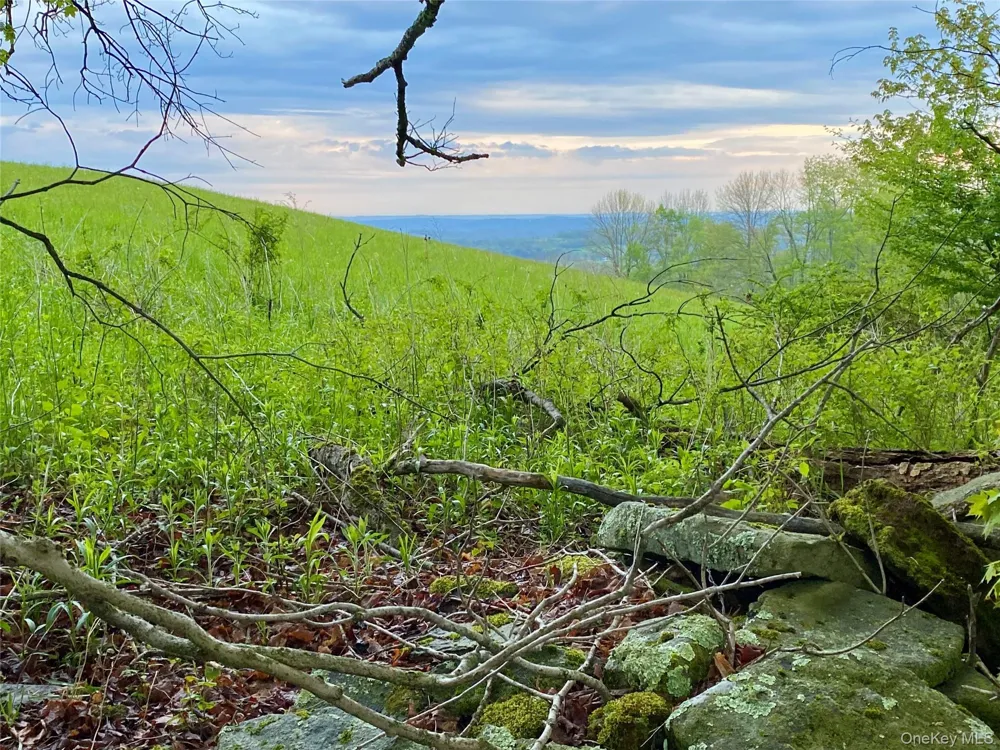 301 & 305 Hust Road Hust Callicoon, NY 12748