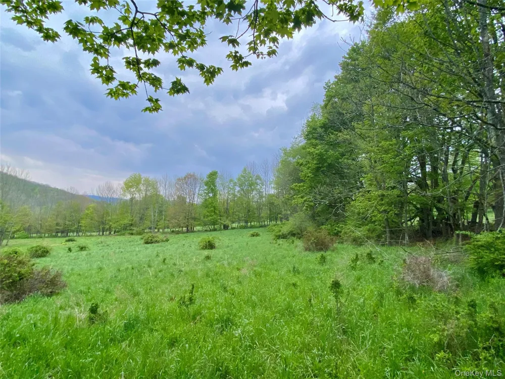301 & 305 Hust Road Hust Callicoon, NY 12748