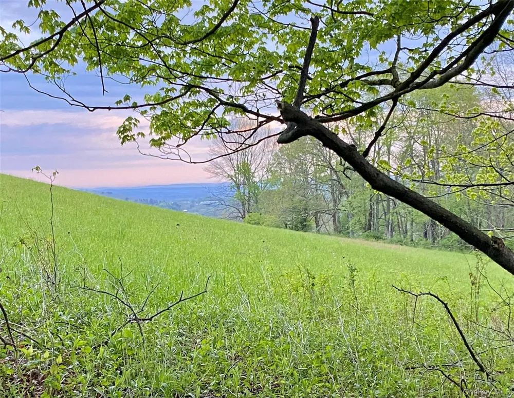301 & 305 Hust Road Hust Callicoon, NY 12748