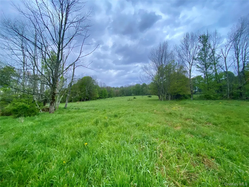 301 & 305 Hust Road Hust Callicoon, NY 12748