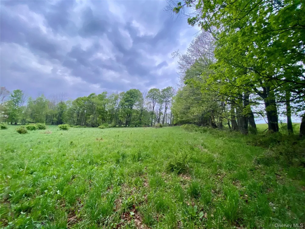 301 & 305 Hust Road Hust Callicoon, NY 12748