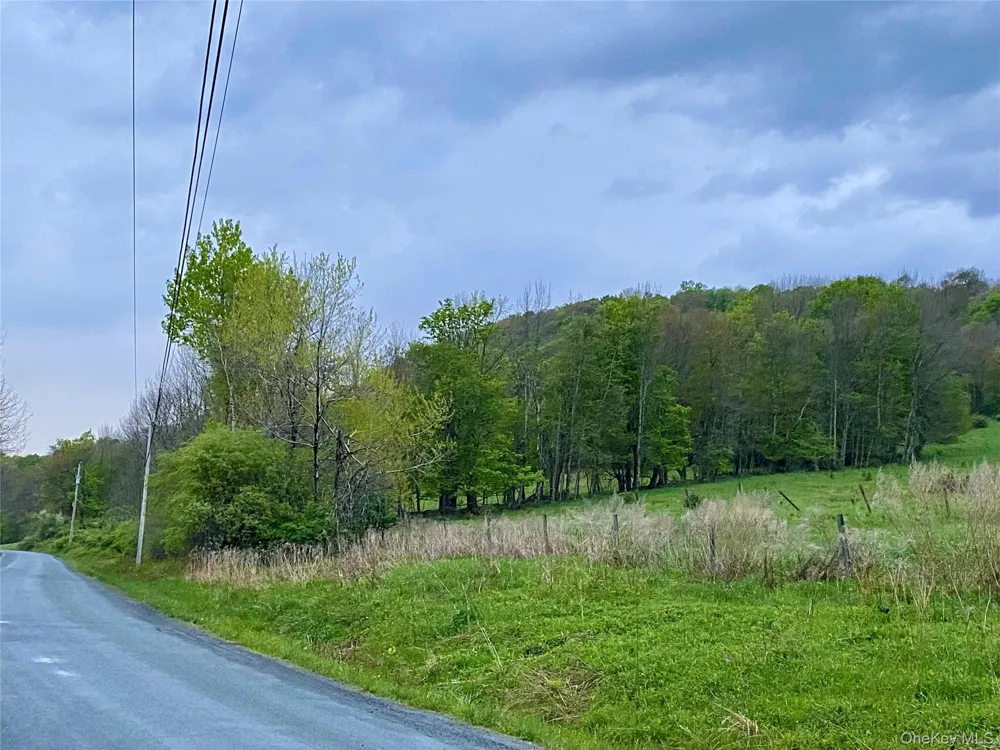 301 & 305 Hust Road Hust Callicoon, NY 12748