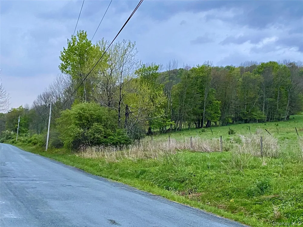 301 & 305 Hust Road Hust Callicoon, NY 12748