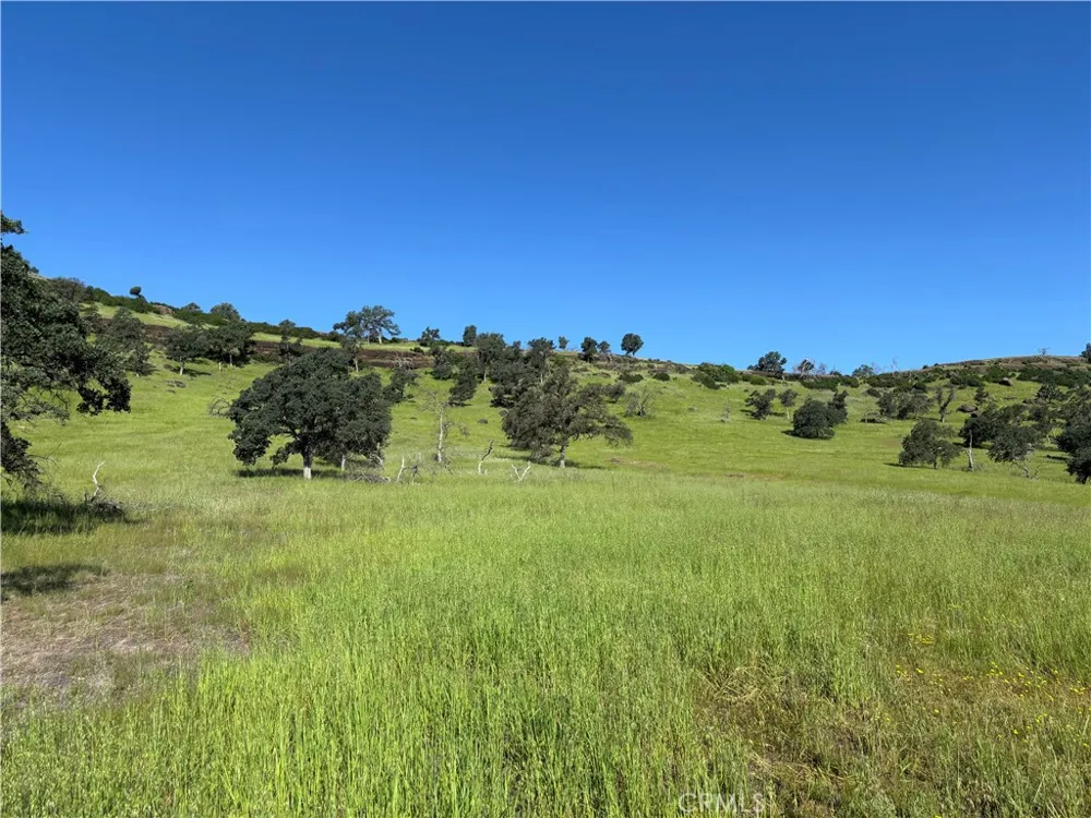 Cobble Creek Road Butte Valley, CA 95965
