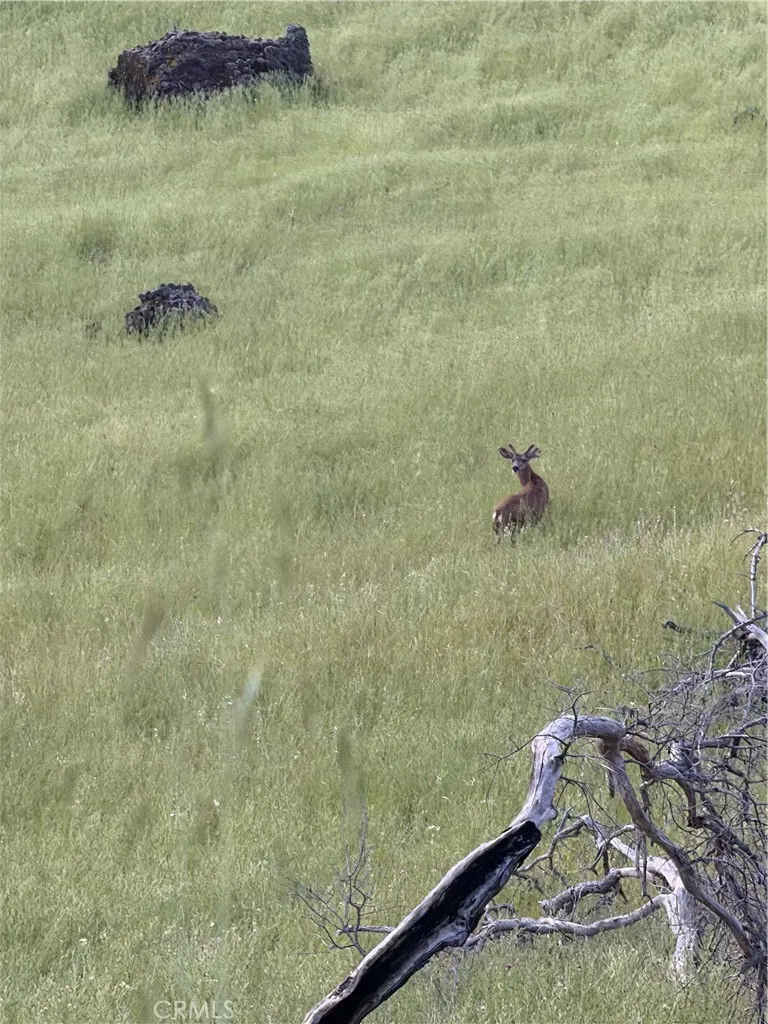 Cobble Creek Road Butte Valley, CA 95965