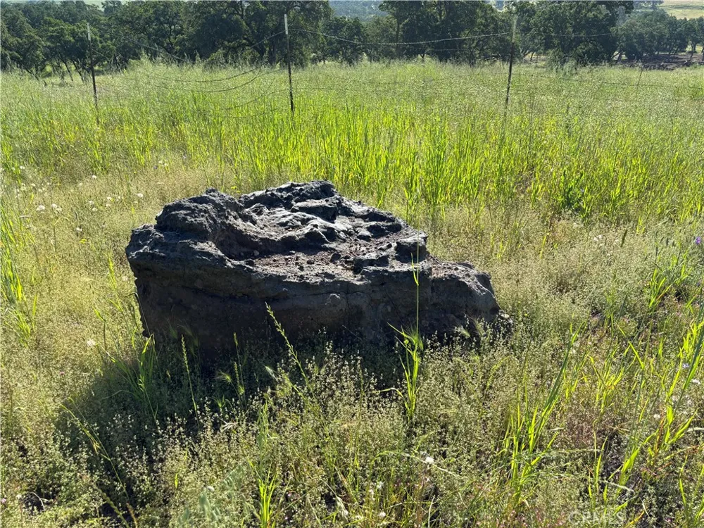 Cobble Creek Road Butte Valley, CA 95965