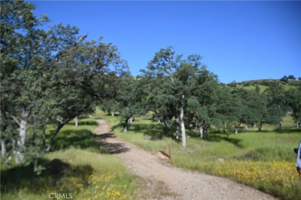 Cobble Creek Road Butte Valley, CA 95965