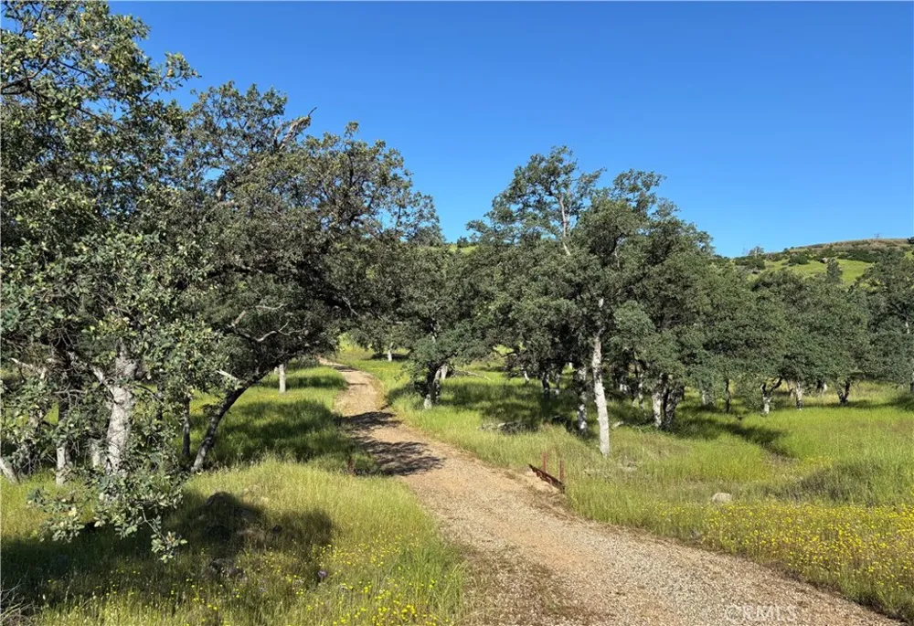 Cobble Creek Road Butte Valley, CA 95965