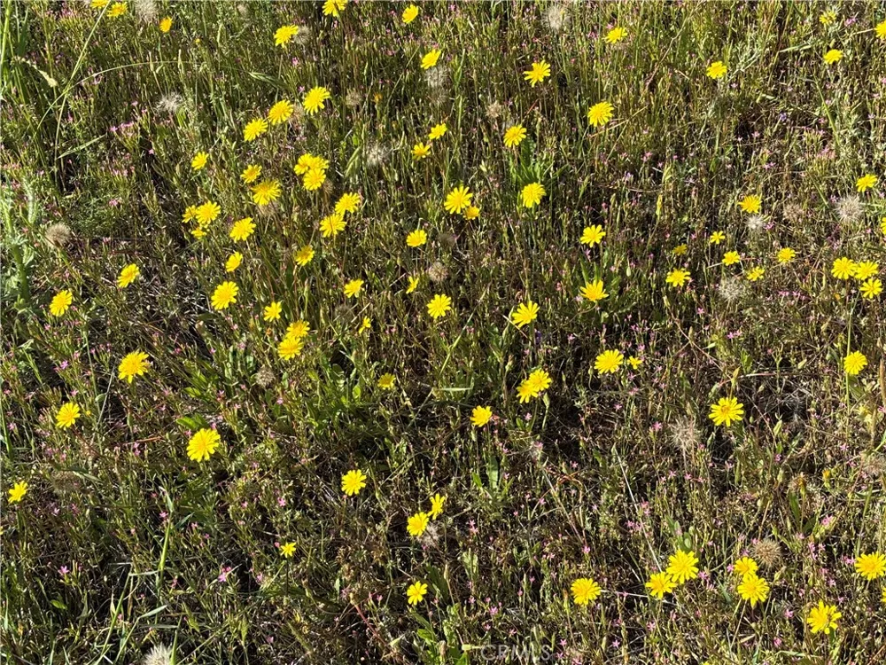 Cobble Creek Road Butte Valley, CA 95965