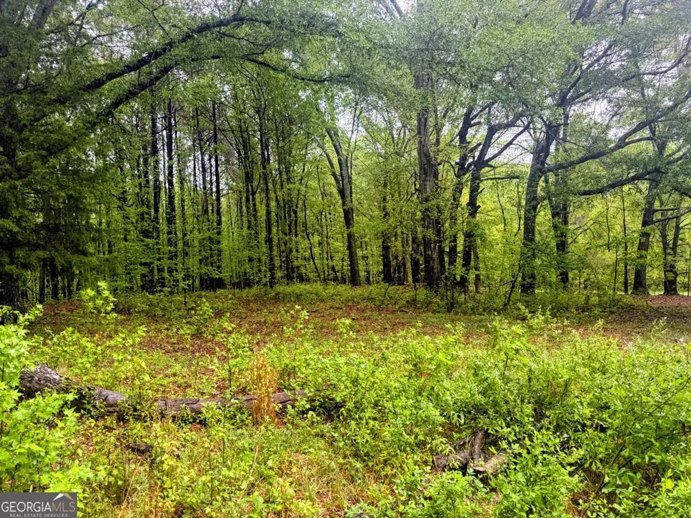 48.04 ACRES Caldwell RD Zebulon, GA 30295