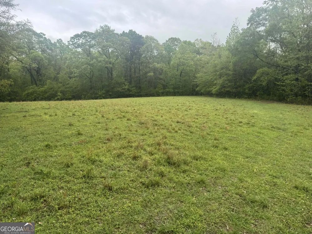 48.04 ACRES Caldwell RD Zebulon, GA 30295