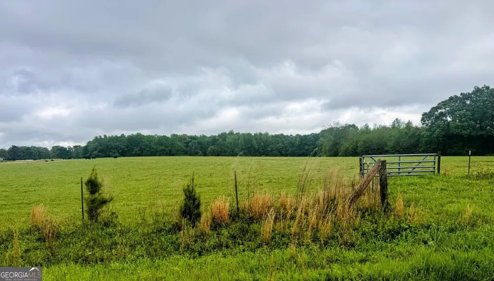48.04 ACRES Caldwell RD Zebulon, GA 30295