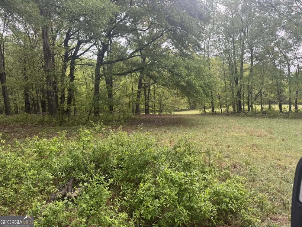 48.04 ACRES Caldwell RD Zebulon, GA 30295
