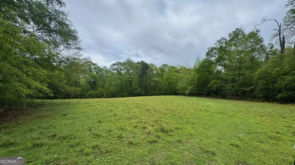 48.04 ACRES Caldwell RD Zebulon, GA 30295