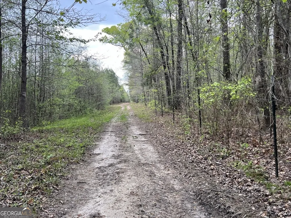 48.04 ACRES Caldwell RD Zebulon, GA 30295