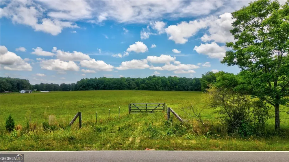 48.04 ACRES Caldwell RD Zebulon, GA 30295