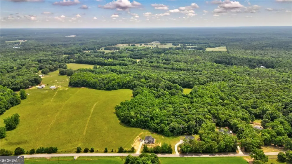 48.04 ACRES Caldwell RD Zebulon, GA 30295