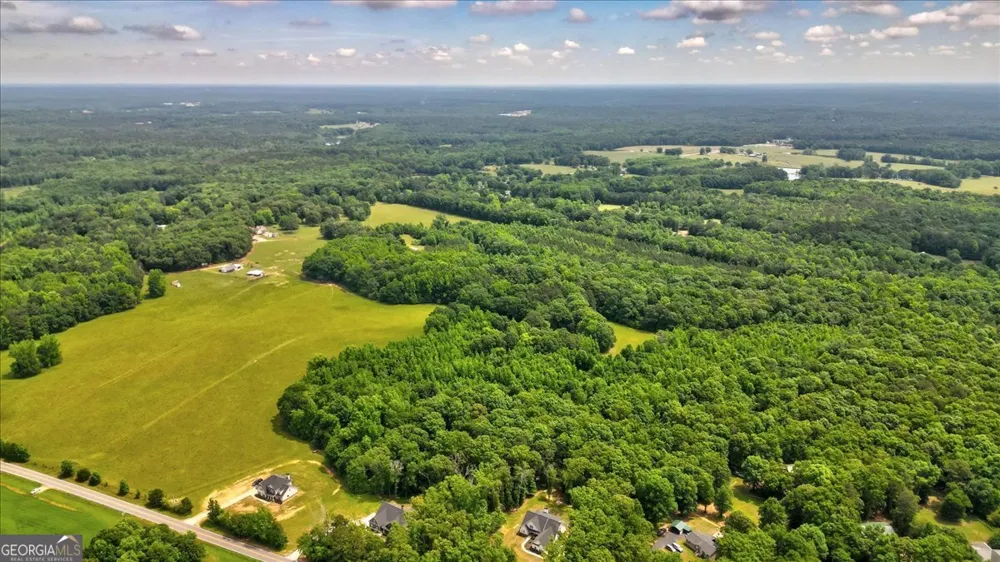 48.04 ACRES Caldwell RD Zebulon, GA 30295