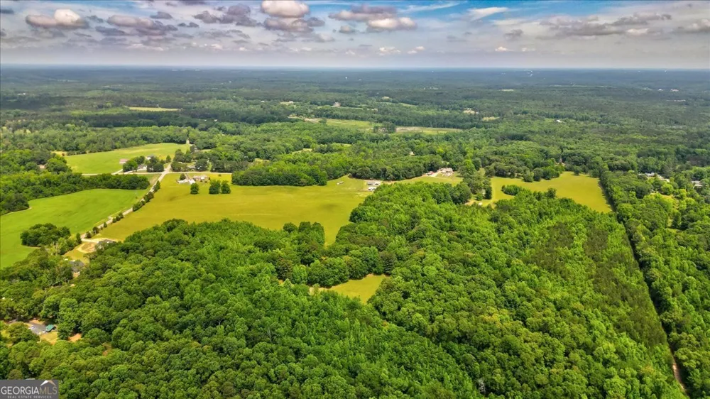 48.04 ACRES Caldwell RD Zebulon, GA 30295