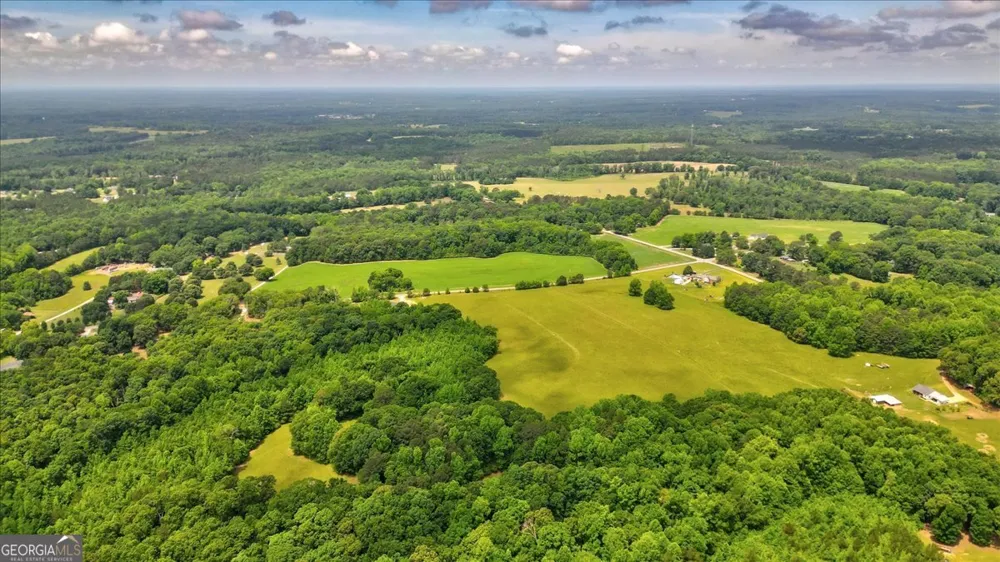 48.04 ACRES Caldwell RD Zebulon, GA 30295