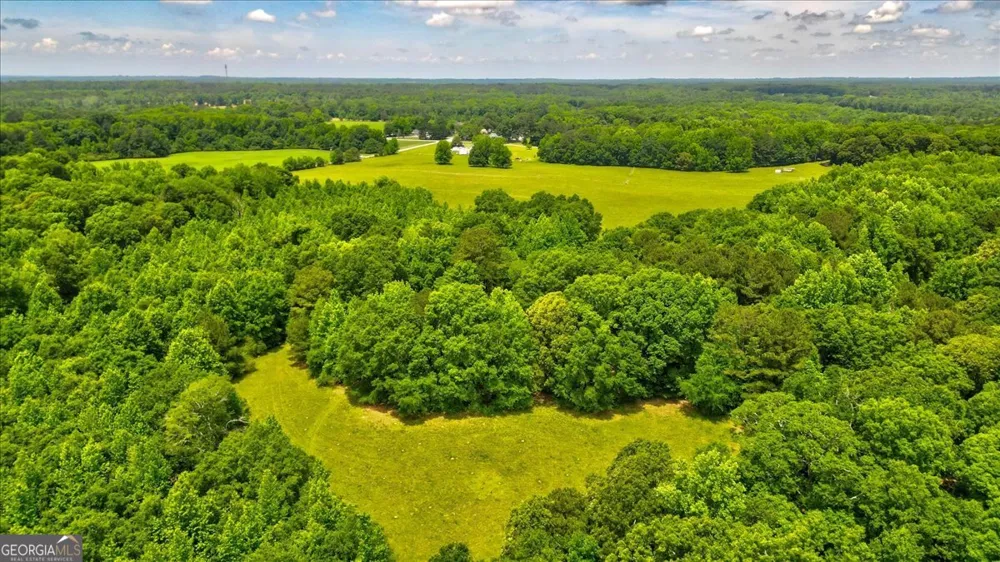 48.04 ACRES Caldwell RD Zebulon, GA 30295