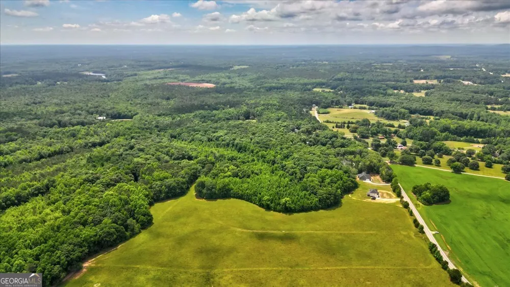 48.04 ACRES Caldwell RD Zebulon, GA 30295
