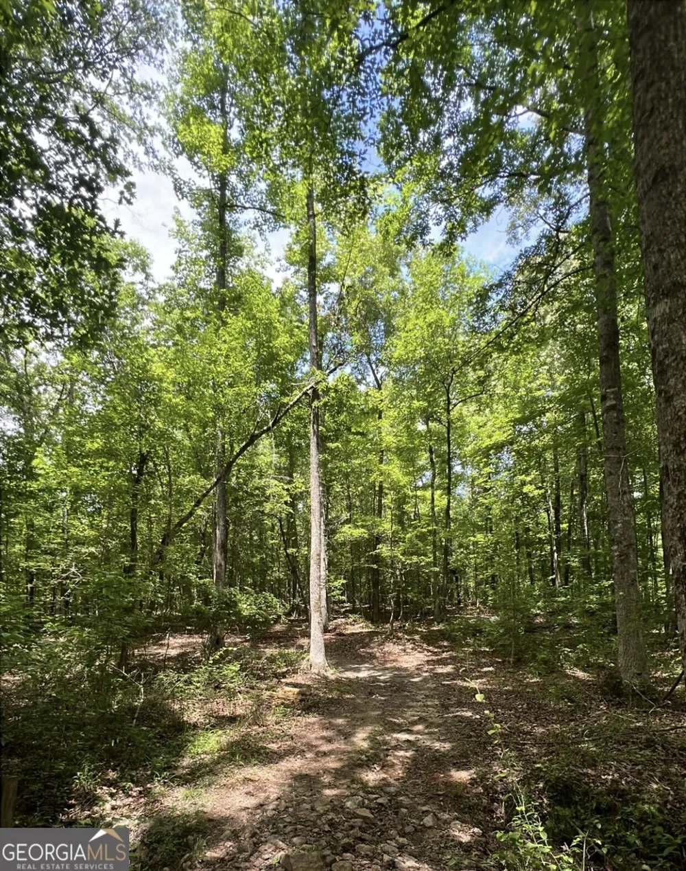 48.04 ACRES Caldwell RD Zebulon, GA 30295