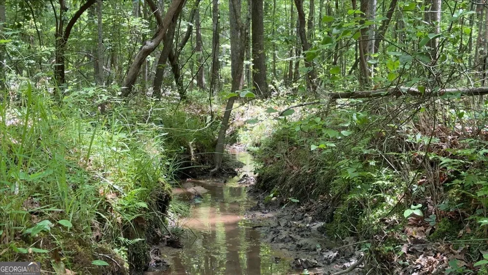 48.04 ACRES Caldwell RD Zebulon, GA 30295