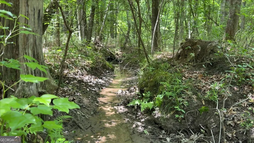 48.04 ACRES Caldwell RD Zebulon, GA 30295