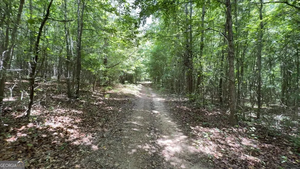 48.04 ACRES Caldwell RD Zebulon, GA 30295