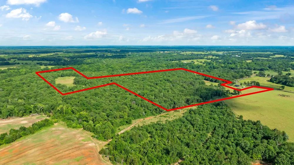 958 County Road 37000 Sumner, TX 75486