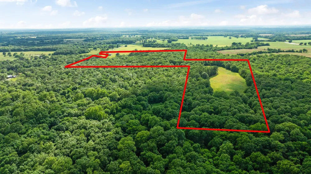 958 County Road 37000 Sumner, TX 75486