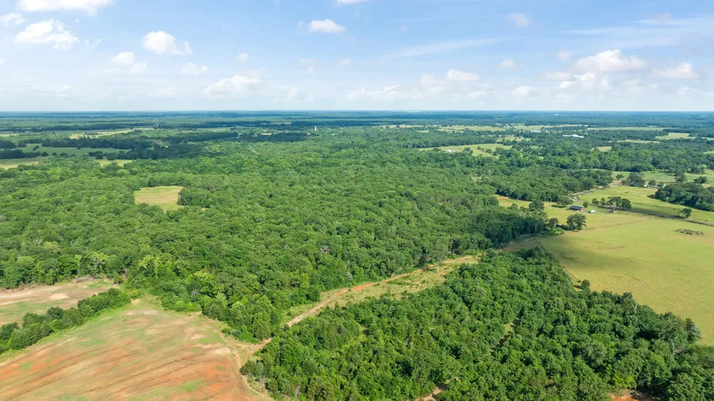 958 County Road 37000 Sumner, TX 75486