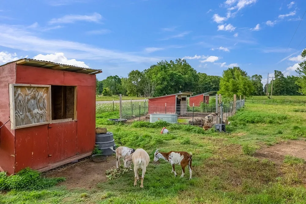 4798 County Road 4235 De Kalb, TX 75559