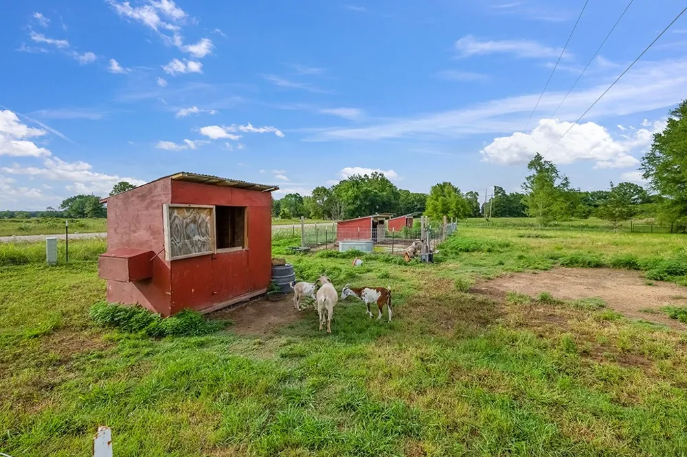 4798 County Road 4235 De Kalb, TX 75559