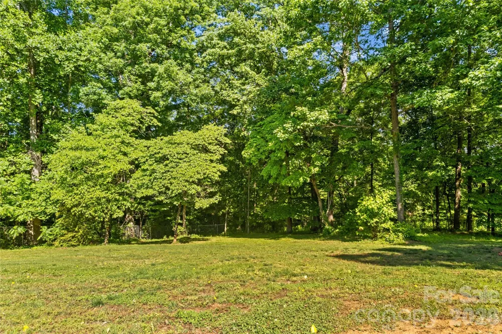 711 Spring Pointe Drive Stony Point, NC 28678